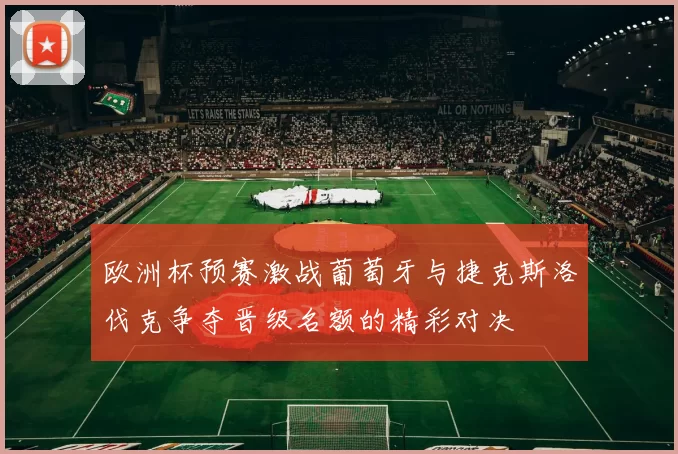 欧洲杯预赛激战葡萄牙与捷克斯洛伐克争夺晋级名额的精彩对决