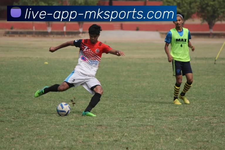 多媒体互动体验